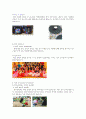 [영유아교수방법론] 프로젝트 접근법 - 프로젝트 주제 : 우리나라(대한민국,한국) (만5세) 6페이지