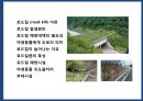 야생동물 도로 교통사고 예방시설[로드킬(road-kill)] 2페이지
