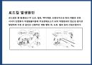 야생동물 도로 교통사고 예방시설[로드킬(road-kill)] 4페이지