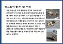 야생동물 도로 교통사고 예방시설[로드킬(road-kill)] 8페이지