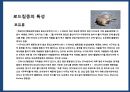 야생동물 도로 교통사고 예방시설[로드킬(road-kill)] 9페이지