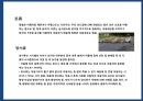 야생동물 도로 교통사고 예방시설[로드킬(road-kill)] 10페이지