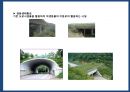 야생동물 도로 교통사고 예방시설[로드킬(road-kill)] 14페이지