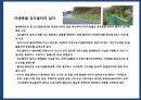 야생동물 도로 교통사고 예방시설[로드킬(road-kill)] 19페이지