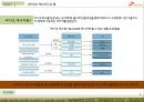SK케미칼 기업분석과 경영전략분석및 바이오에너지 산업분석과 SK케미칼 주요이슈및 경영전략 제안 PPT 4페이지