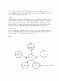 시각장애 1급 Care Plan 3페이지
