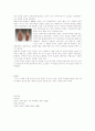 구석기(舊石器)에 대하여  7페이지
