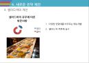 미스터피자 마케팅 SWOT,STP,4P전략분석및 미스터피자 브랜드분석과 서비스전략분석및 미스터피자 미래 전략제안 레포트 46페이지