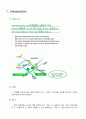 복합 테마형 상가 「코앞」 마케팅 전략 {코엑스몰 비교, SWOT분석, STP분석, 4P분석} 2페이지