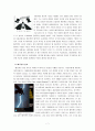 영웅 만화 고찰 - 슈퍼맨 (SUPERMAN) & 배트맨 (BATMAN) & 스파이더맨(SPIDER­MAN) & 슈퍼영웅만화, 삐딱하게 바라보기  & 원더우먼 (WonderWoman) 7페이지