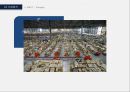 [인터넷마케팅] 서비스를 파는 기업 ZAPPOS (A study on the ZAPPOS using the internet site) 자포스 zappos 기업분석 {기업개요, 시장현황, 기업분석, SWOT, STP, 4C}.pptx 32페이지