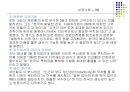다국적기업의 국제생산입지 선정 성공 및 실패사례 {생산시설의 입지 정의 & 국제생산입지 선정사례}.ppt 24페이지