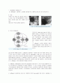 CDAD (clostridium-difficile-associated-disease) {Clostridium difficile 정의와 증상, 전파 및 발병경로, 위험 요인, 진단과 치료} 3페이지