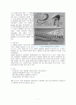 CDAD (clostridium-difficile-associated-disease) {Clostridium difficile 정의와 증상, 전파 및 발병경로, 위험 요인, 진단과 치료} 4페이지