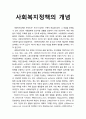 [사회복지개론] 사회 복지정책의 개념에 대하여 서술하시오 1페이지