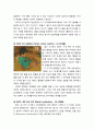 [영유아발달] 영아기의 감각운동단계(1단계~6단계) 및 대상영속성의 발달(1단계~5단계) 4페이지