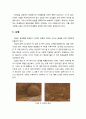 [영유아발달] ≪태내발달(胎內發達/prenatal development)≫ 수정, 태내발달의 단계(난체기,배아기,태아기), 태아의 뇌 발달 : 뉴런의 이동 2페이지
