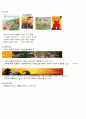 동물動物을 주제로 한 월간계획서(1개월), 주제망, 교수학습자료, 주간계획안(5주과정-동물의 특성, 애완동물, 동물보호, 사라진 동물, 동물이 사는 곳) 6페이지