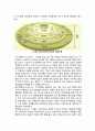 [교육education심리학] 발달의 개념 및 발달 연구의 동향 (발달의 정의, 발달에 대한 주요 논쟁점, 발달 연구의 발달 과정, 발달연구의 최근 동향) 7페이지