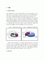 [시스템안전공학] 가정에서의 안전사고(安全事故) - 안전사고 정의, 재해와 사고의 차이, 재해의 범위, 안전사고사례 : 연립주택, 전기 절연피복 손상, LPG가스 폭발, 배기판 불량 CO중독, 가정내 생활안전사고 2페이지