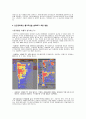 [인간공학] 웹 디자인(Web Design)의 인간공학적 설계 (인간공학적인 웹 디자인 설계의 필요성, 국내외 웹 사이트의 비교와 분석, 좋은 웹 사이트의 요건 및 인간공학적인 웹디자인 설계방법) 7페이지