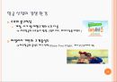 [ 제주항공 서비스마케팅 전략 PPT ] 제주항공 기업분석과 제주항공 서비스전략과 마케팅전략 분석및 미래전략제안 PPT레포트 15페이지