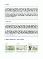 (평화발레오 자기소개서 - 2019년 취업서류) 평화발레오 공채 자기소개서 우수샘플 + 연봉정보/인재상 [BEST 평화발레오자소서/평화발레오 전산직 자기소개서/채용정보 첨삭항목] 2페이지