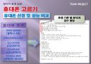 [창의적 설계 입문] 아이디어 도출, 아이디어 판단 방법 {제주도 고립 극복 아이디어  & 휴대폰 고르기}.pptx 10페이지