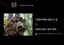 공정무역(fair trade) 가게 그루와 아름다운 가게 16페이지