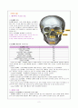 [성인간호학] 골절 케이스 zygomatic tripod Fx & Rt.maxillary segmental Fx CASE STUDY 2페이지