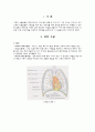 [성인간호학] 기흉 케이스 Pneumothorax CASE STUDY 1페이지