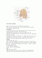 [성인간호학] 기흉 케이스 Pneumothorax CASE STUDY 2페이지