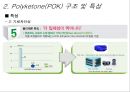 폴리케톤 Polyketone(POK) {친환경 소재인 폴리케톤의 소개 및 용도, 특징 소개}.ppt 9페이지