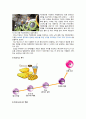「망고식스(MangoSix)」망고식스 마케팅전략/커피시장 규모,현황/자사분석/경쟁사분석/4p,SWOT,STP전략/ 8페이지