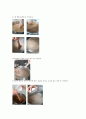 [식품영약학과 조리원리 및 실습 보고서] 재료에 따른 묵의 제조와 겔(젤) 형성능력 2페이지