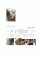 [식품영약학과 조리원리 및 실습 보고서] 재료에 따른 묵의 제조와 겔(젤) 형성능력 3페이지
