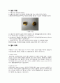 [SEM촬영 보고서] 주사전자 현미경을 이용한 이미지 관찰 실험(전복껍데기와 손톱의 미세구조) 5페이지