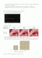 컴퓨터 공학 실험 - JPEG 인코딩 실험 3페이지