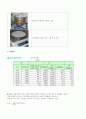 토질역학실험 - 체분석을 하여 입도 분포곡선을 나타내는 실험 3페이지