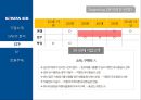 기업 분석 - 대한항공 기업 전략 12페이지