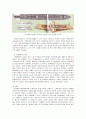 [경제사] 대항해시대의 노예무역 - 노예무역의 전개와 플랜테이션 농업 4페이지