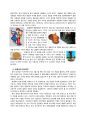 중국 소수민족에 관해서 - 티베트족(藏族), 위구르족(维吾尔族) 몽골족(蒙古族) 6페이지