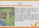 지역 문화 축제 - 제주 정월대보름 등불축제.pptx 5페이지