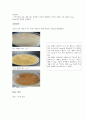 [미생물공학 실험] 균주탐색 실험 : Bacillus coagulans를 찾아내기 3페이지