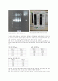 [미생물공학 실험] 균주탐색 실험 : Bacillus coagulans를 찾아내기 5페이지