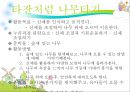 숲에서 할 수 있는 소집단 활동(숲에서 할 수 있는 소집단 신체활동).pptx 13페이지