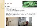해외 여행시 출입국 절차와 기내 매너 {여행시 준비해야 할 일, 출입국절차와 매너, 환승 및 중간 기착승, 기내 매너}.ppt 24페이지