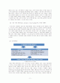 글로벌 기업의 국제 경영 13페이지