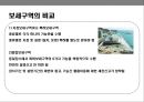 보세 제도&구역의 이해.pptx 6페이지