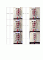 [최신디지털공학실험] 제10판 실험11.가산기(Adder)와 크기비교기(Magnitude Comparator) 만점레포트 : 4비트 2진/excess-3 코드 변환기 설계, 구현및테스트&오버플로우(overflow) 검출 가능한 부호있는 가산기 설계 6페이지